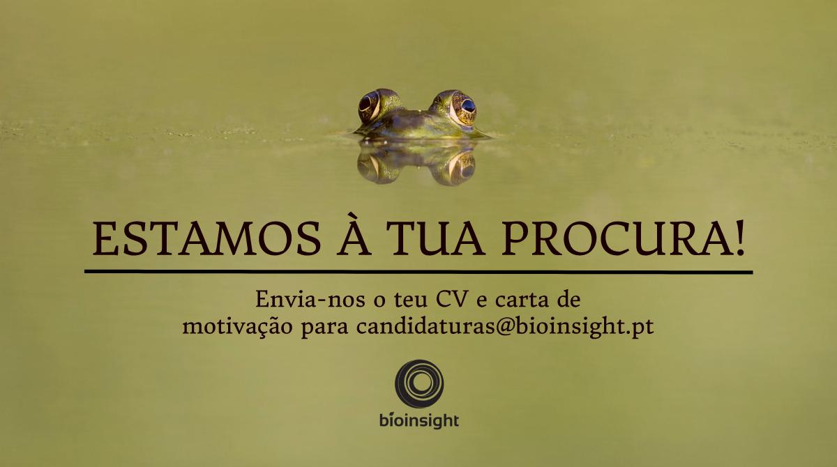 Bioinsight_Int's tweet image. Envia o teu #CV. A @Bioinsight_Int vai reforçar o seu departamento técnico. 
Mais informações em: bit.do/bioinsight

#portugal #biologia #Emprego #ecologia #avifauna #morcego #odivelas #Aveiro