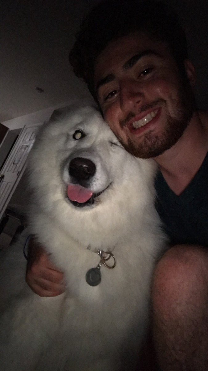 NoahKriegel's tweet photo. It’s #InternationalDogDay and I’m a slut for attention https://t.co/Vm9xfKcz39
