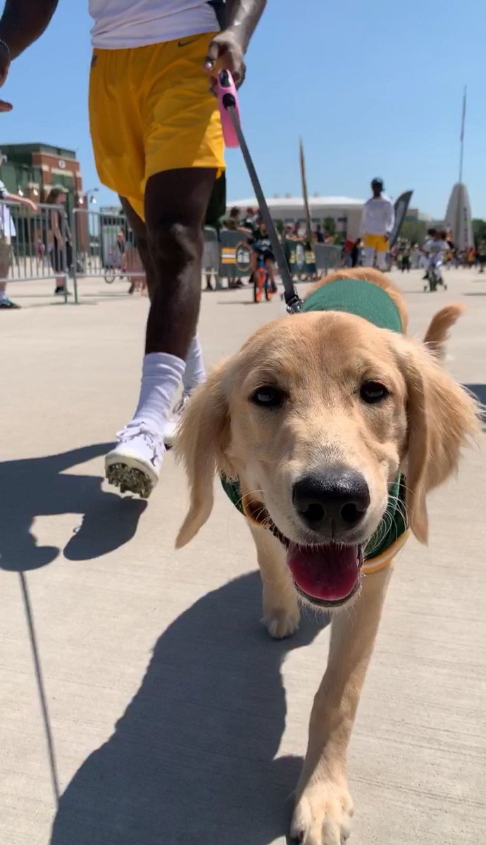 Green Bay Packers tweet media