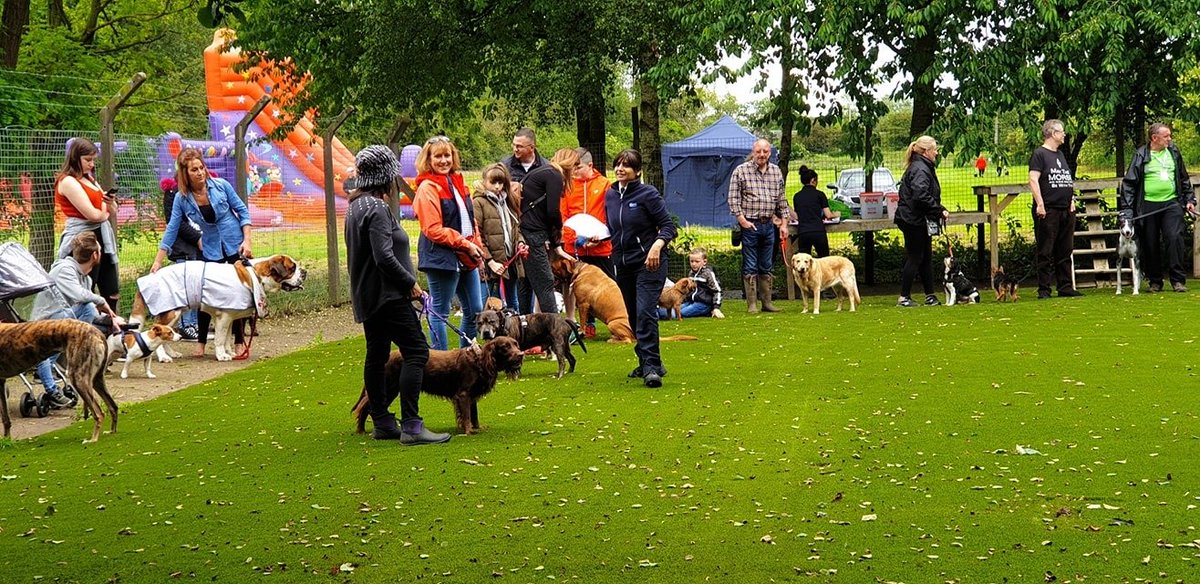 🎉We are turning 30!🎉 Come and join us on September 8th for a BBQ &amp; Dog Show to celebrate 30 years at Hillfield Animal Home! rspcaburton.org.uk/events/30th-bi… #rspca #charity #fundraising #AdoptDontShop