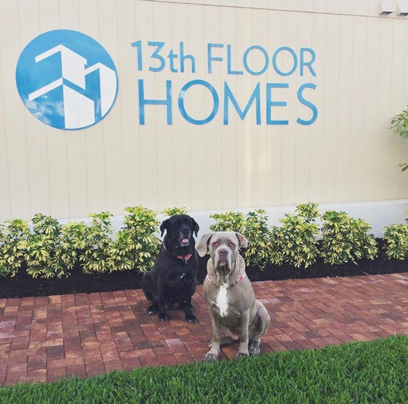Happy #NationalDogDay to our favorite 13th Floor Homes team members!! 🐶 
#OfficeDogs #pupsofig #13thfloorhomesmascots

#13thfloorhomes #southfloridarealestate #luxuryrealestate  #homesweethome #housegoals #live13thfloor