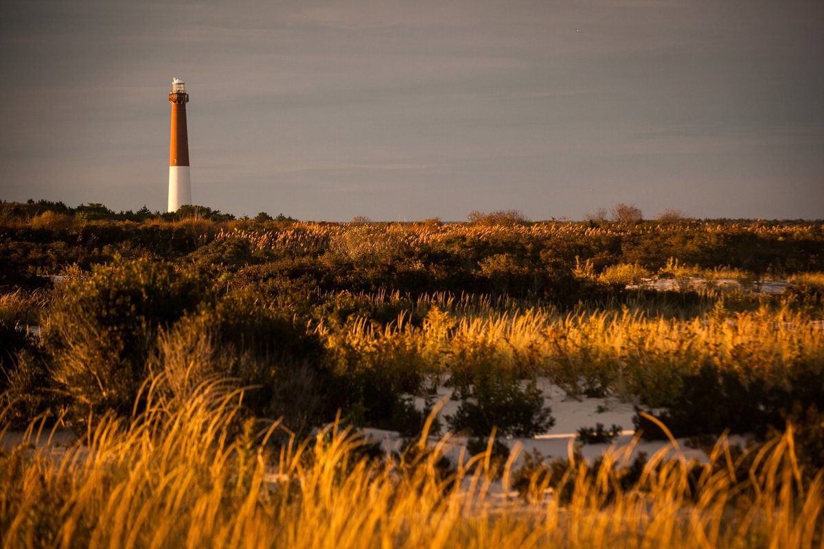 Welcome To LBI tweet media