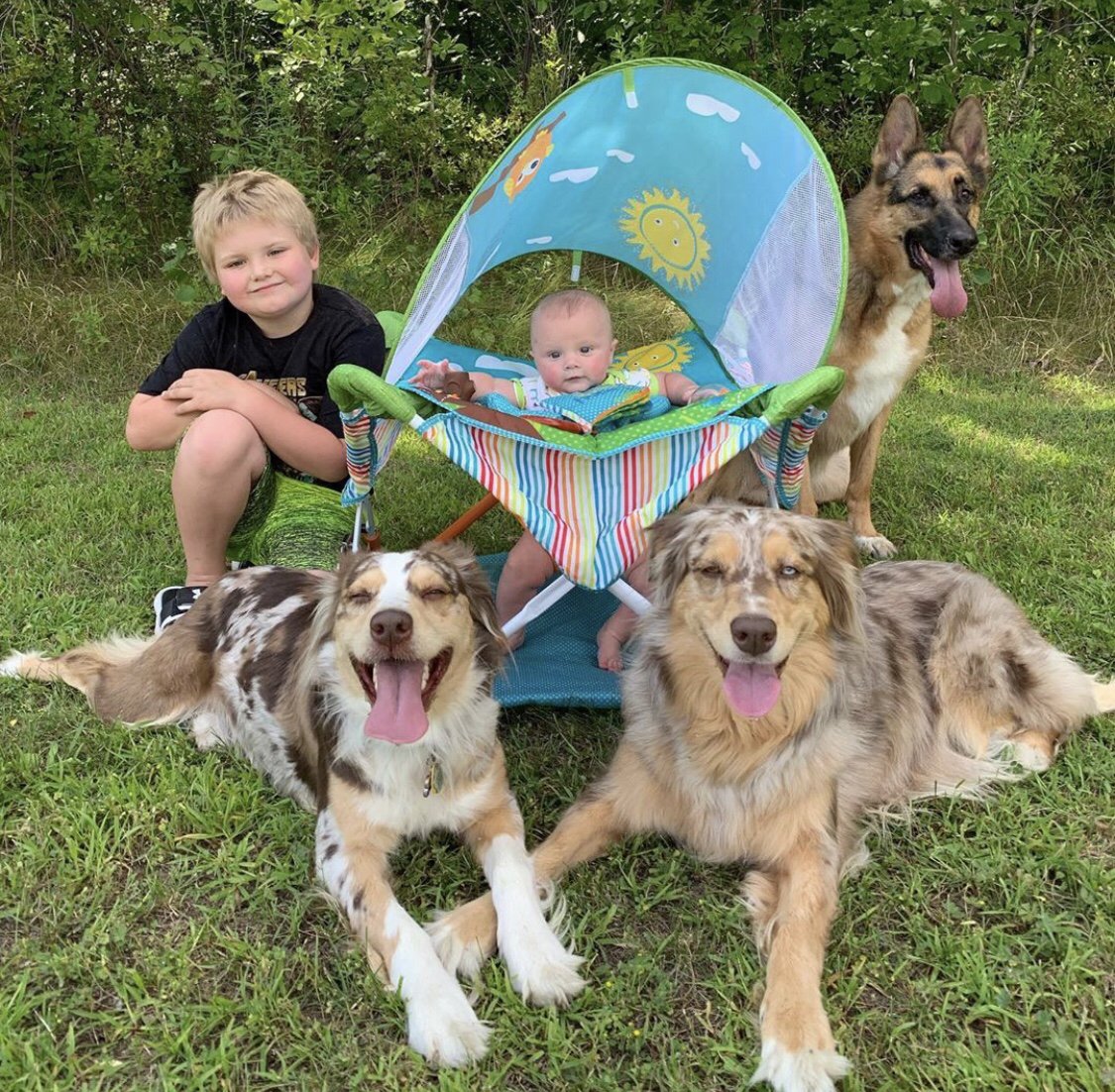 summerinfant's tweet photo. Happy National Dog Day Everyone 🐕✨ The @nationaldogday Foundation encourages everyone to embrace the opportunity for all dogs to live a happy, safe, and abuse-free life! // 📷 by @countryauss 
#popnjump #nationaldogday #summer #summerglobal https://t.co/yRaWrQTBb3