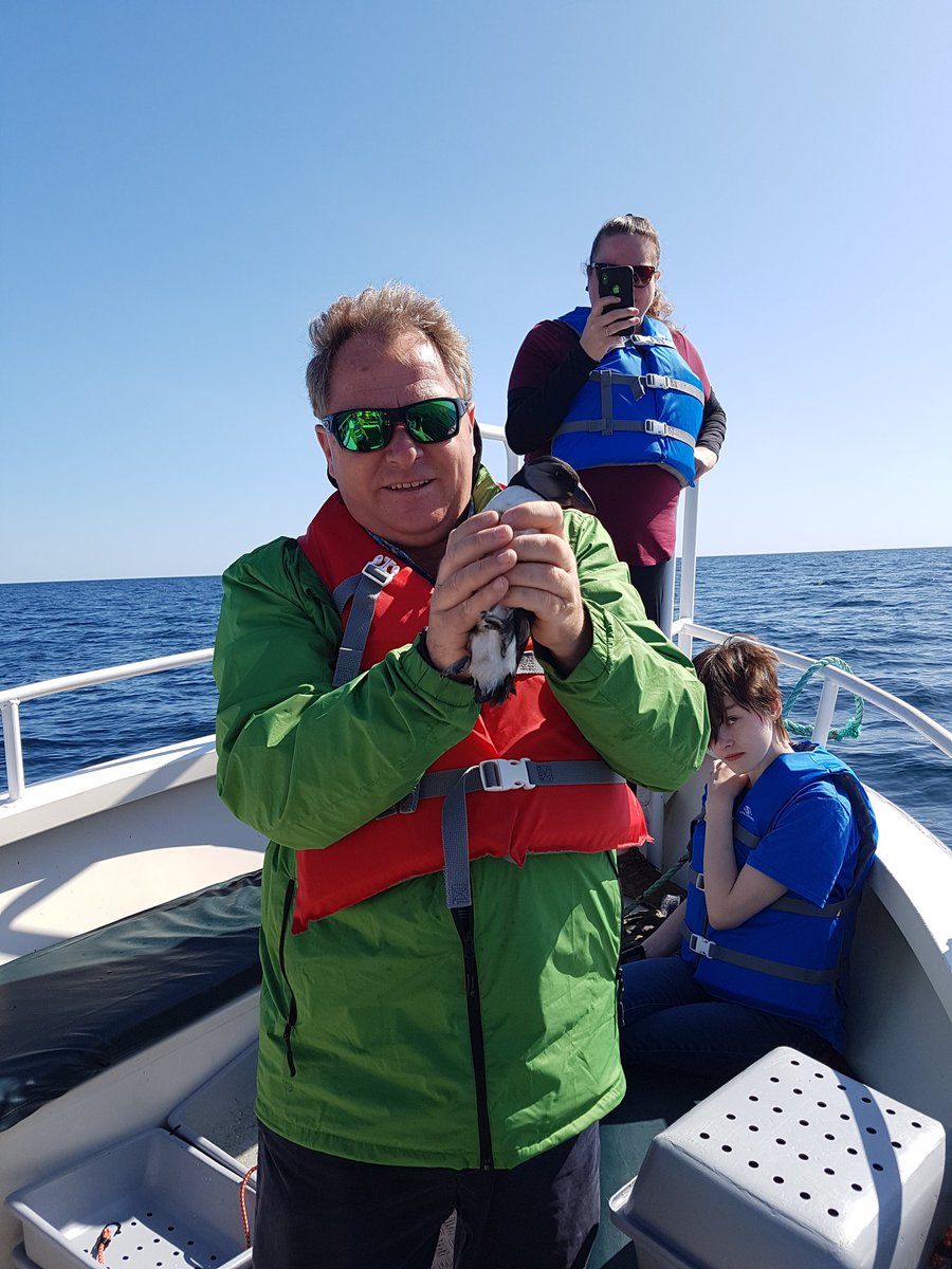 cpawsnl's tweet photo. Big Thanks to @obrienstours for assiting us this am to release 9 pufflings from the Kingfisher. #puffinpatrol #lightattraction https://t.co/51K4zuEquk