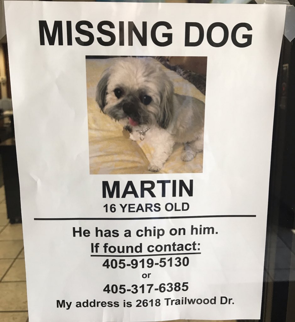 AdamTroxtell's tweet photo. URGENT NORMAN: As much as I would like to drop everything and find this sweet boy, it’s got to be a group effort. So spread the word! #missingdog #missingpup https://t.co/iNFFcHUFK8