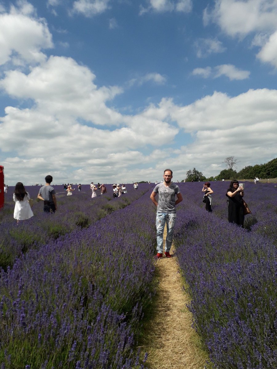 Shandini90's tweet photo. At Lavenderfarms @mayfieldlavenderfarm #mayfieldlavenderfarm #lavenderfarm #goodday #Lovely https://t.co/mHnqenFFjJ