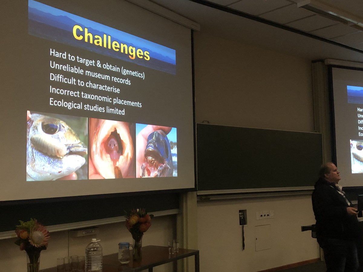 AliHalajian's tweet photo. #MarineParasitology workshop Day1, @BioSciUCT.
@NicoJSmit1 @NWU_WRG talking about parasitic #crustaceans,
#Amphipoda #Isopoda #Copepoda..
Diversity of #Cymothoidae..
Challenges: life cycle..
#UCTParasites2019 #UCTMarineParasitology
@SANBI_ZA @NRF_News #SouthAfrica @Iziko_Museums https://t.co/0x77HMBQGi