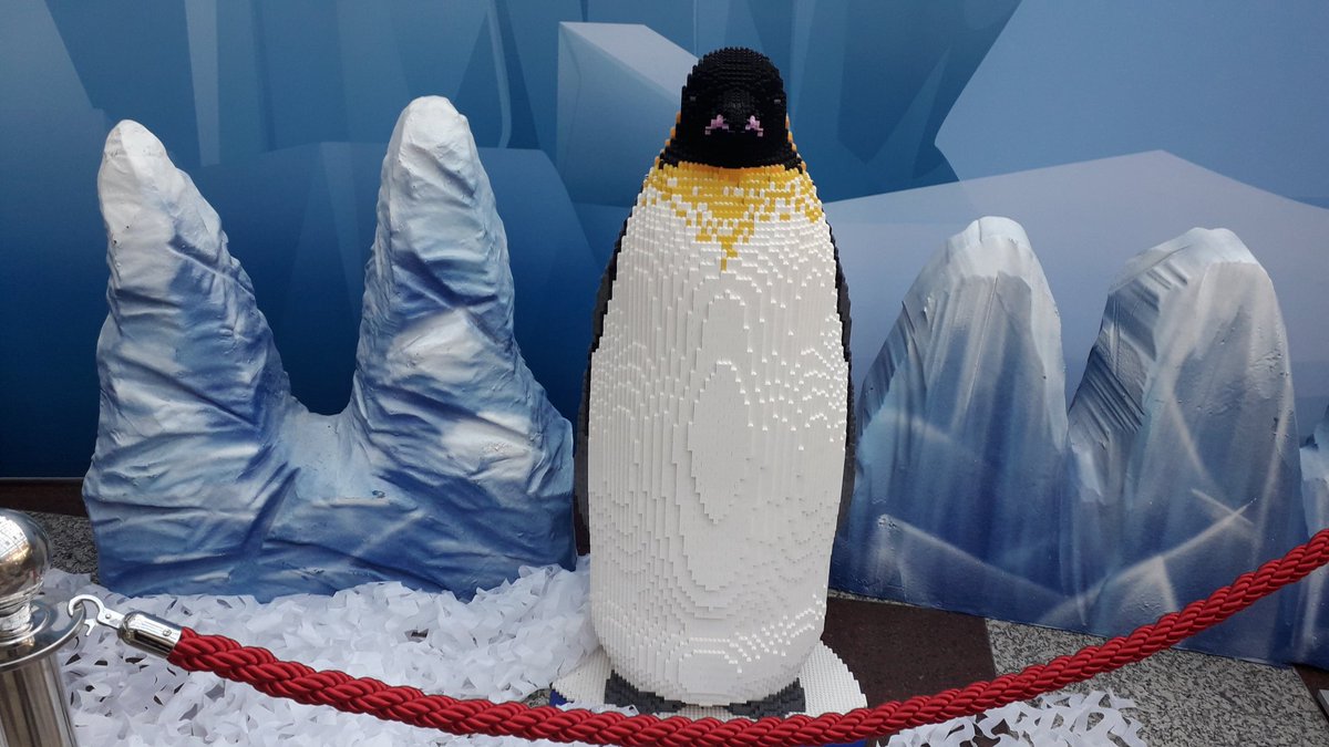 Shandini90's tweet photo. Made of Legos at @whitgiftcroydon #tiger #Snowleopard #penguin https://t.co/ORdeO7qSPk