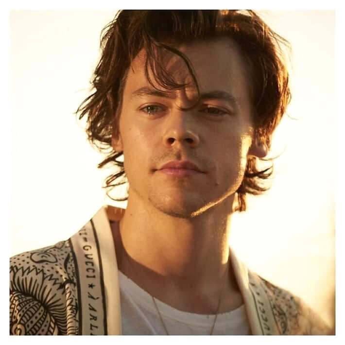 Harry Styles GTO tweet media