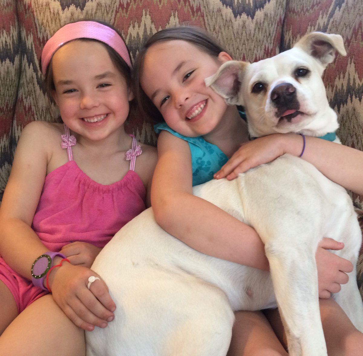 too_licky's tweet photo. This one never gets old. #Sugar  #sisters #youngauthors #TooLickybook #rescuedog #rescue #adoptadog #dogsarefamily #savealife #doglovers #theirlifematters #adoptdontshop https://t.co/Pf9mTS90Bb https://t.co/Re8WDrSlJQ