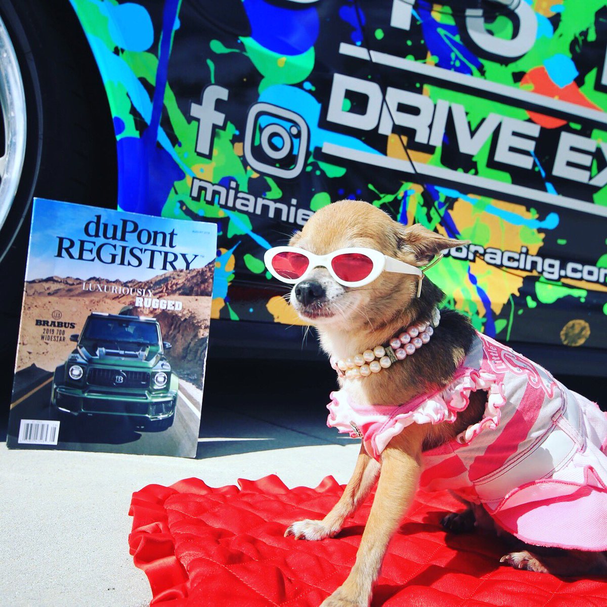 gregory_ratner's tweet photo. Best in Show @palmbeachoutlet @Official_CNCPB @duPontREGISTRY @gregory_ratner @coffee_method https://t.co/Mvo97MAomH