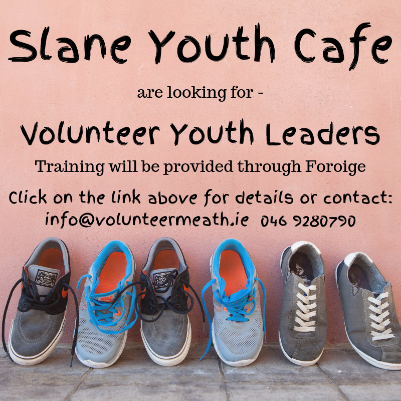 Volunteer Meath tweet media