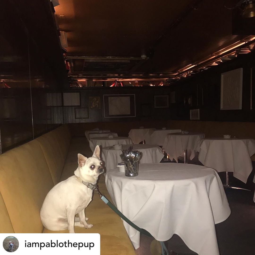 Dear Alice tweet media