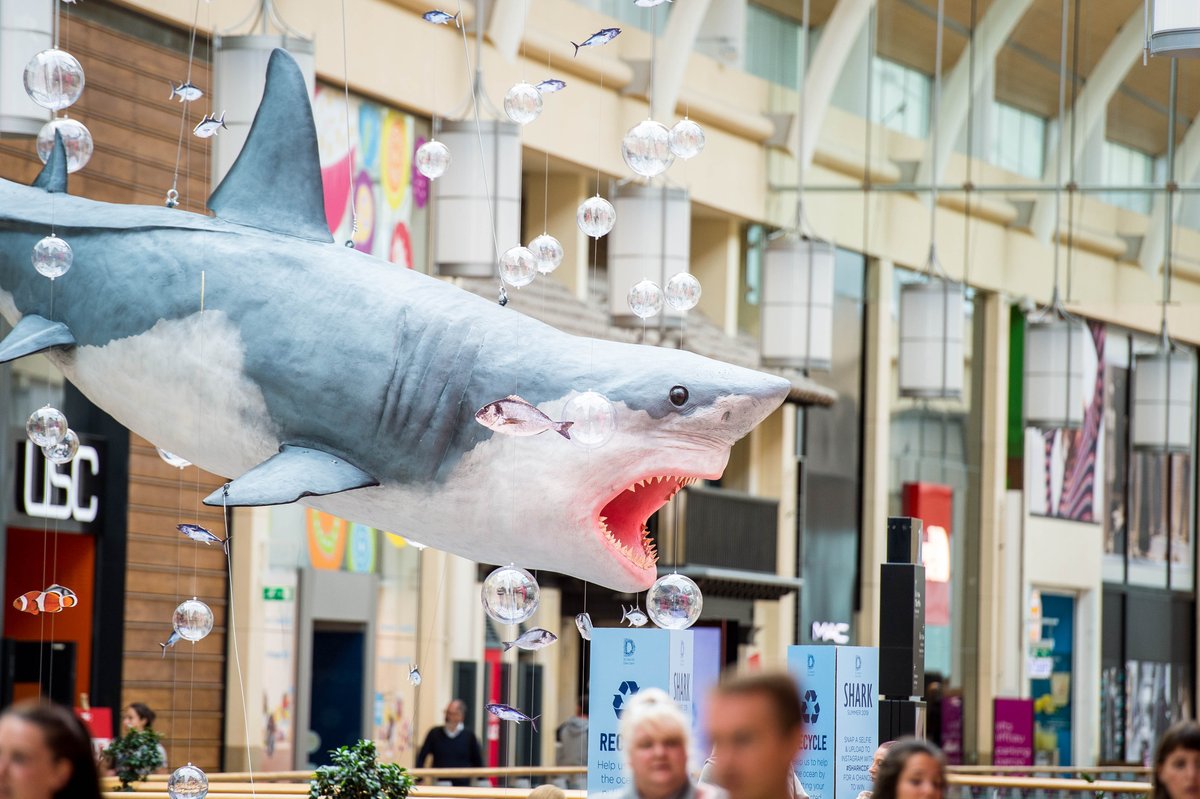 StDavidsCardiff's tweet photo. ❓ DID YOU KNOW❓ 90% of the cost of bottled water is the bottle itself and 80% of plastic bottles never get recycled and end up in our oceans 👎 Instead of buying plastic bottles, Refill your bottles outside @krispykreme and @muffinbreak with our #RefillMe scheme! 💦👏 https://t.co/hoSmXVWbaD