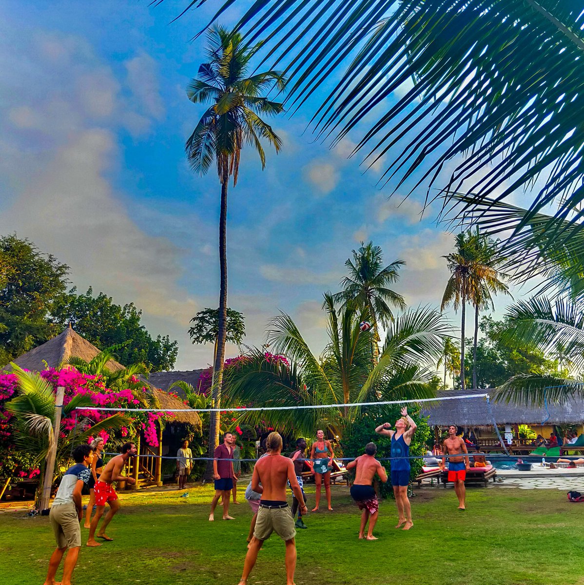 _Brownsugar12's tweet photo. Summer Volleyball π π΄ππ₯
#giliair #begadangbackpackers #summerholidays #traveller #travelphotography #travel #volleyball #instabackpacker #volleyballindonesia
#voleybol #volleyballteam #instavoleibol #voleibolista #volei #voleizinho #volleyballgame #prilaga #voleishow #voleid https://t.co/JnoXohYpcW