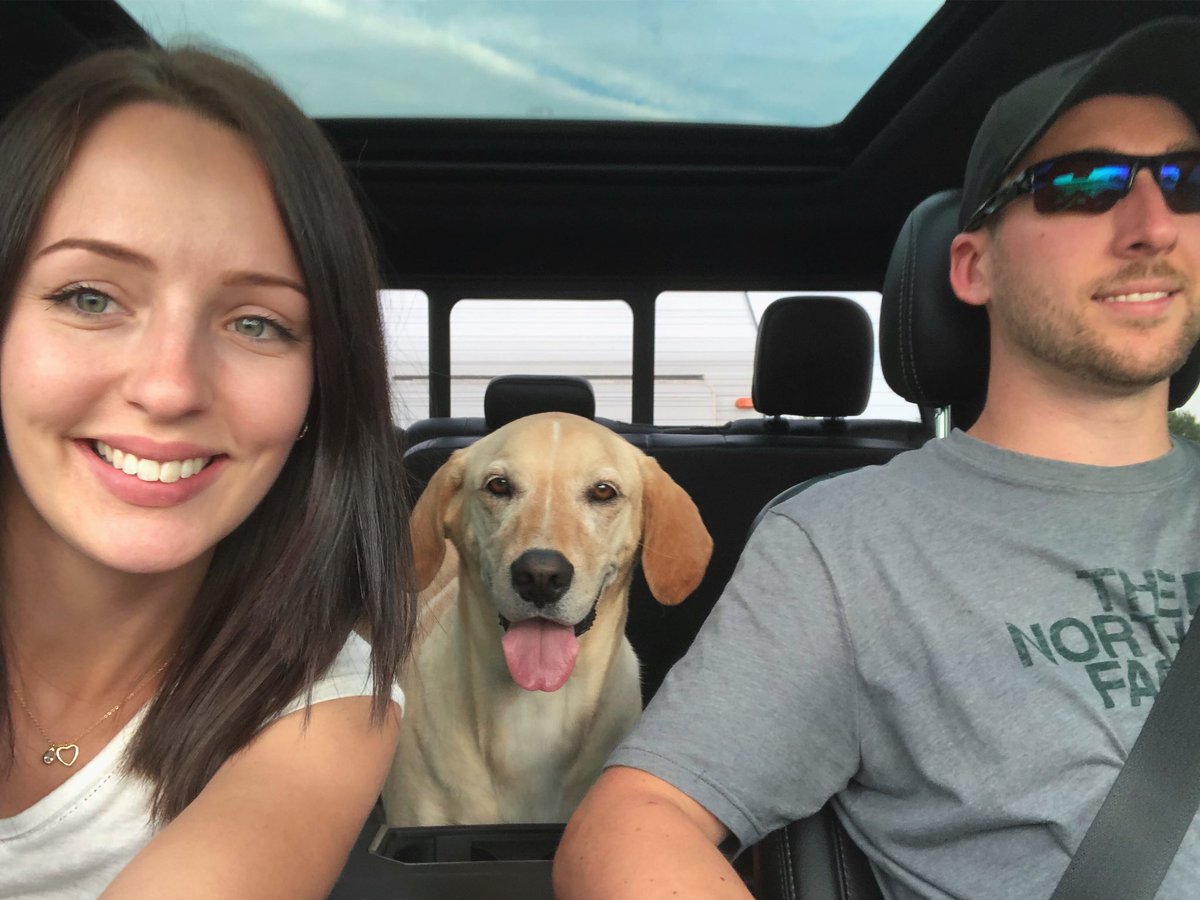 daniellejbower's tweet photo. @AngieHallman @LoveWilmot @madbullmike Our fur baby, Behr! https://t.co/33KAIpBcGQ