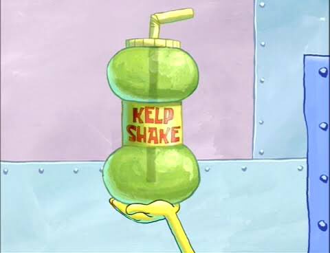 LeniqueUNSW's tweet photo. Today I learned that despite what years of Spongebob education taught me, kelp is a BROWN algae &amp; NOT just completely bright green #marenvs19 https://t.co/MNLXhoytm0