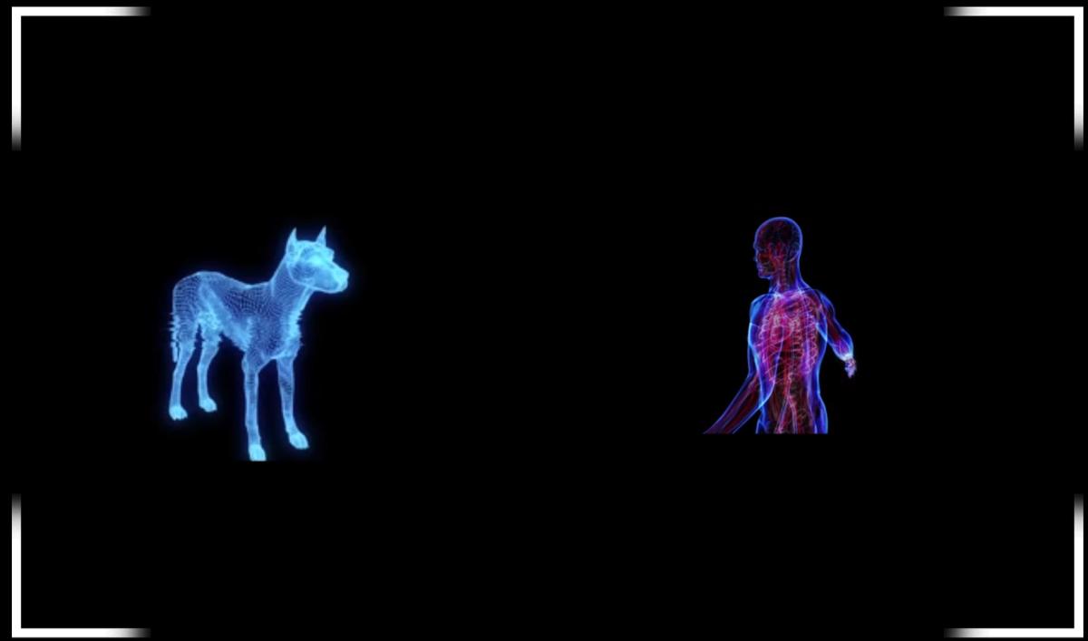 Искусственный интеллект вирус. Робот домашнее животное. Искусственный интеллект животных. Роботы животные. Собака киборг.