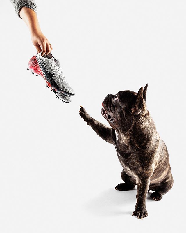 Everybody knows quality when they see it 🌟 Happy International Dog Day! 🐶
--
#nikefootball #speedfreak #internationaldogday #unisportlife ift.tt/2PfGLpc