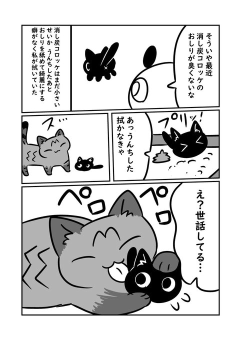 子猫が来た話　飼い主が一番世話してないとかいう事態になってる　#ぬら次郎日記 