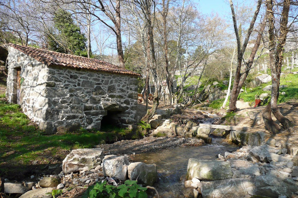 turisriasbaixas's tweet photo. Preparamos un plan perfecto para saciar tu #HambredeExperiencias en #Poio. A los hórreos de #Combarro se suma un impresionante monasterio, un singular bosque de secuoyas y varias rutas de molinos. Saborea #PontevedraProvincia 
👉https://t.co/ONgygVyySl 
👉https://t.co/0nECb5JJNN https://t.co/SxgVkLr4nQ
