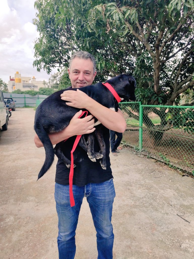 XiaomiIndia's tweet photo. We're proud to share that our initiative along with @CupaIndia has helped several pets find new homes.

Thank you, Mi fans for the tremendous support. What a day to share this news. #InternationalDogDay. 

You too can help. Adopt one or spread the news. > https://t.co/c3GurjX3Sh https://t.co/srw4k6DNnu