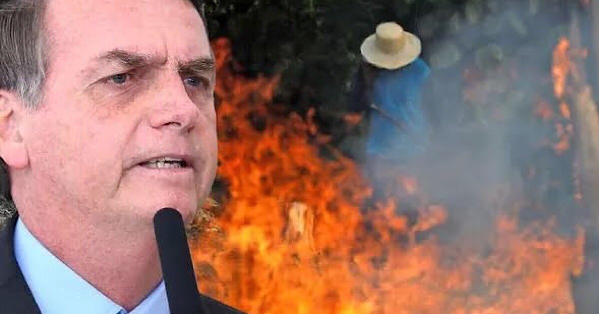 SydneySentinel's tweet photo. #BREAKING Calls for Brazil's president to donate the 60% of water inside his body to help battle the Amazon fires. https://t.co/jI02LWC2MT