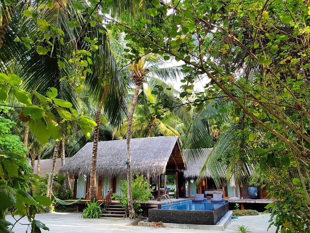 SLMaldives's tweet photo. The luxury of space, a private plunge pool and direct access to the beach - enjoy a family-fun holiday in one of our Beach Villas here in paradise. #ShangriLaMaldives #Travel #BeyondParadisel
📸: @iuliatravel via IG https://t.co/TvFtlrzUfv