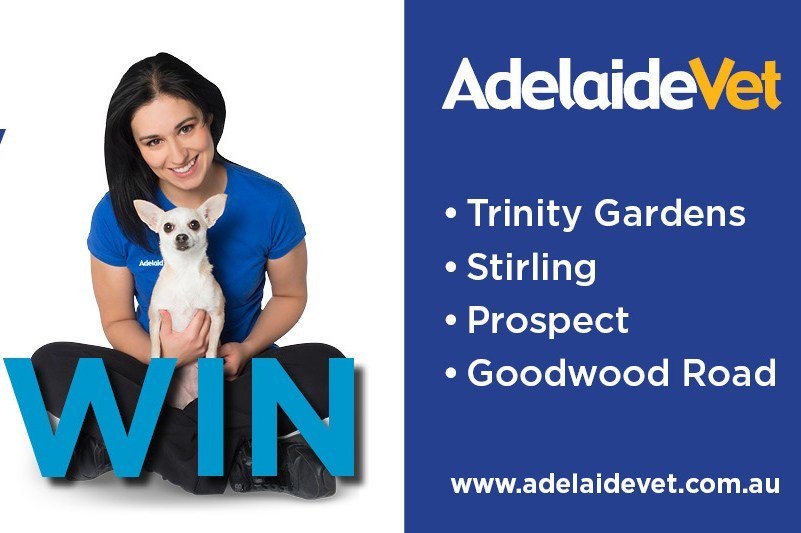 HoundwaveADL's tweet photo. Win a year of veterinary care at Houndwave https://t.co/TOAxyvrBFS https://t.co/RBt8vmOV1H