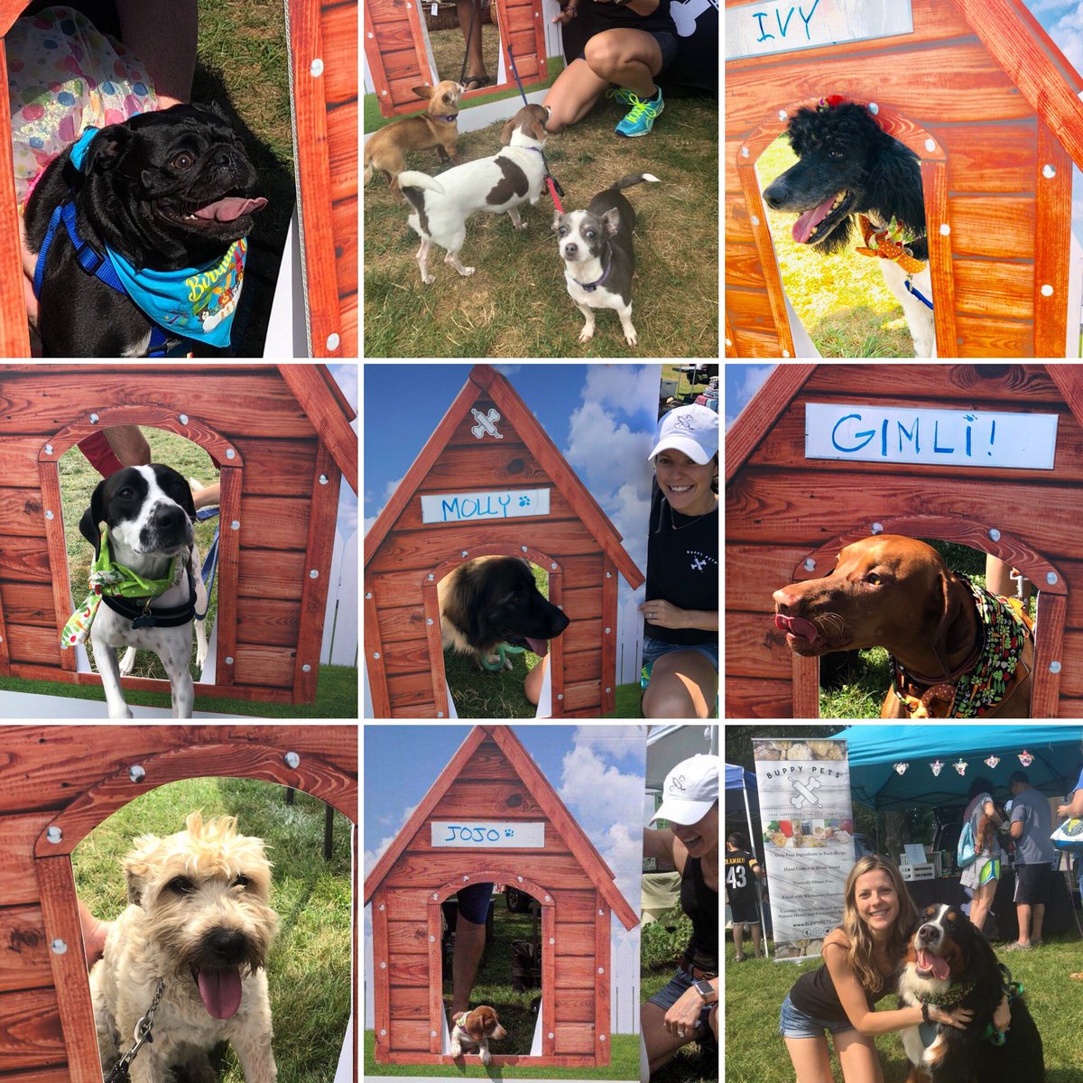 AttyFrmsMkt's tweet photo. It’s International dog day! Make sure to pamper your pooch!! Thanks to @buppypets for sponsoring our #poochoftheweek this year! #internationaldogday https://t.co/GepMwZqs5S