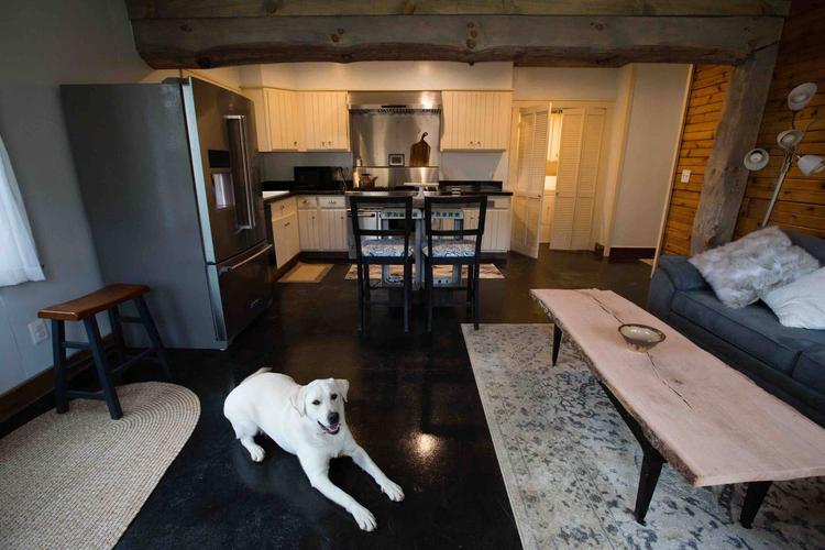 VacationLoudoun's tweet photo. It's #NationalDogDay...  Did you know that most of our vacation rentals are dog friendly? 

https://t.co/wauwiIlZvR

#VisitLoudoun #LoudounCounty #VisitLoCo #Loudoun #VacationRental https://t.co/JjuFhbSpVL