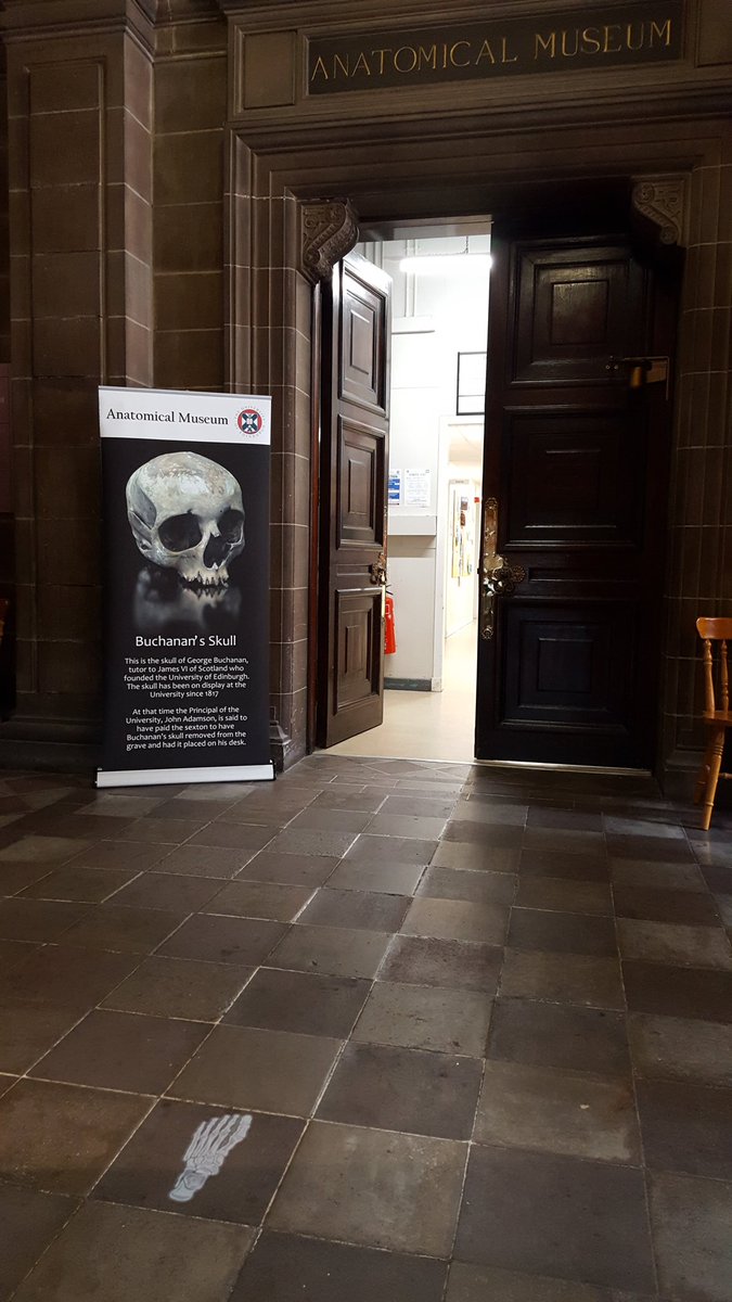 The Anatomical Museum & the Art & Anatomy exhibition are open! Pop into @TeviotPlace 12-3pm Monday 26th - Friday 30th & 10am - 4pm Saturday 31st August to see our amazing collections & the fantastic artwork! Follow the skeletal feet...
@EdinburghUni #artandanatomy #artexhibition