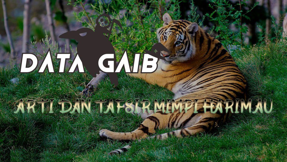 Unduh 100+ Gambar Harimau Togel Terbaik Gratis HD Pixabay Pro