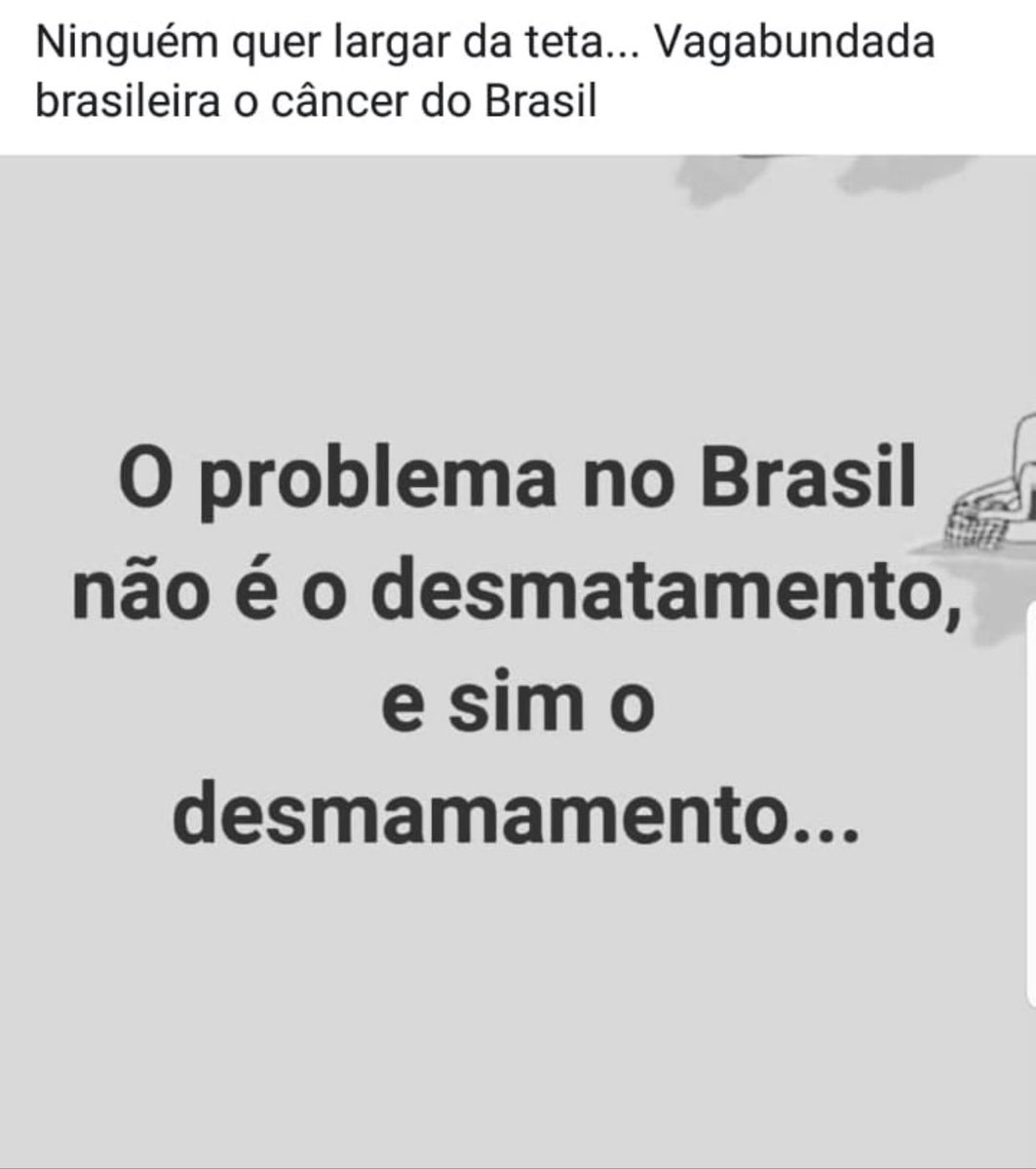 luciano_hang's tweet photo. Sobre a Amazônia... https://t.co/dZAQnTO6g3