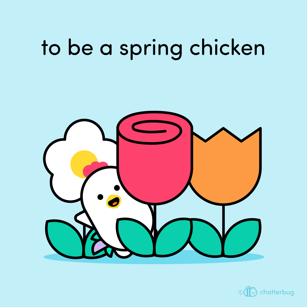 chatterbug_es tweet picture