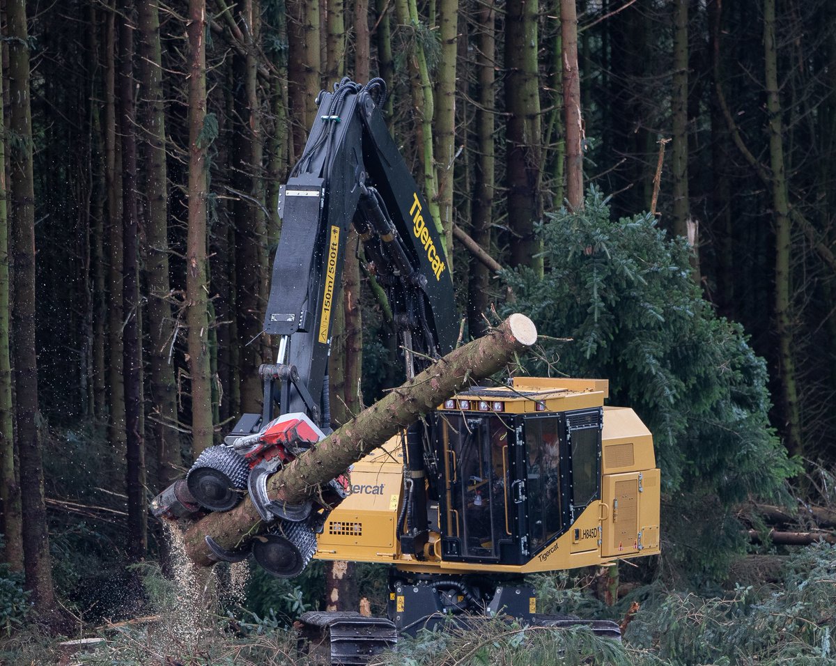 Darren Laurie tweet media