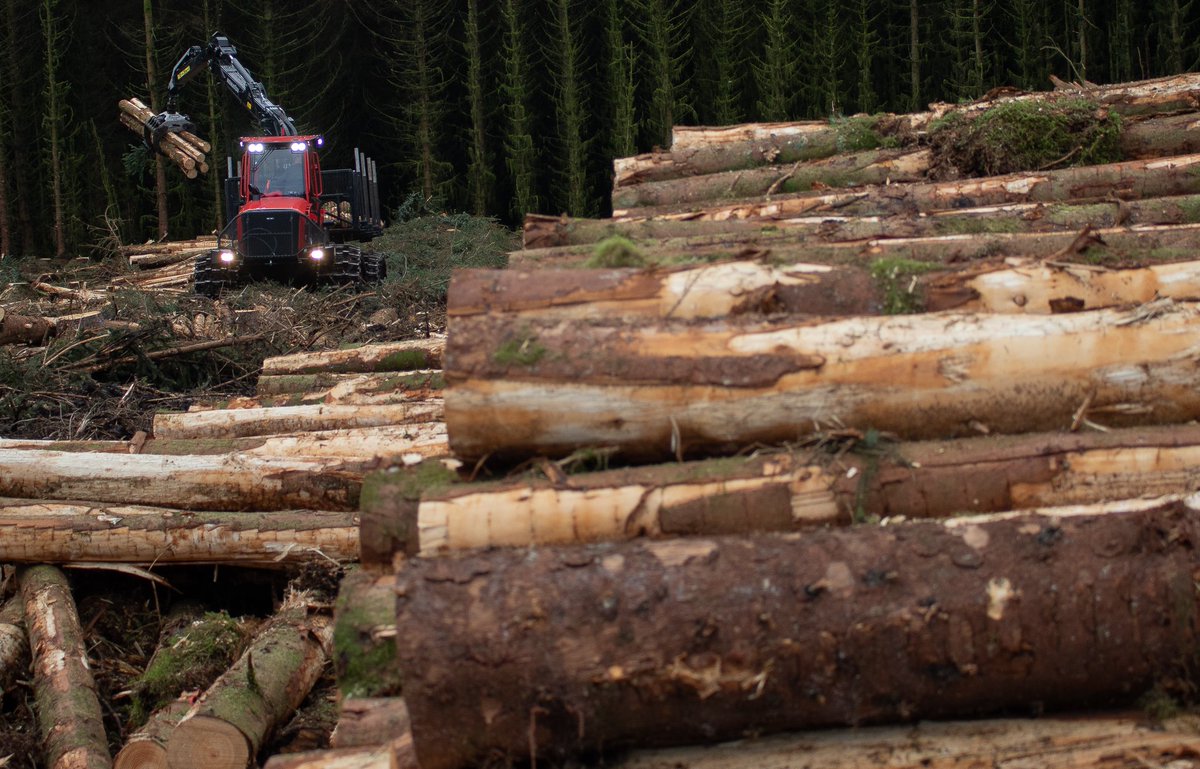 Darren Laurie tweet media