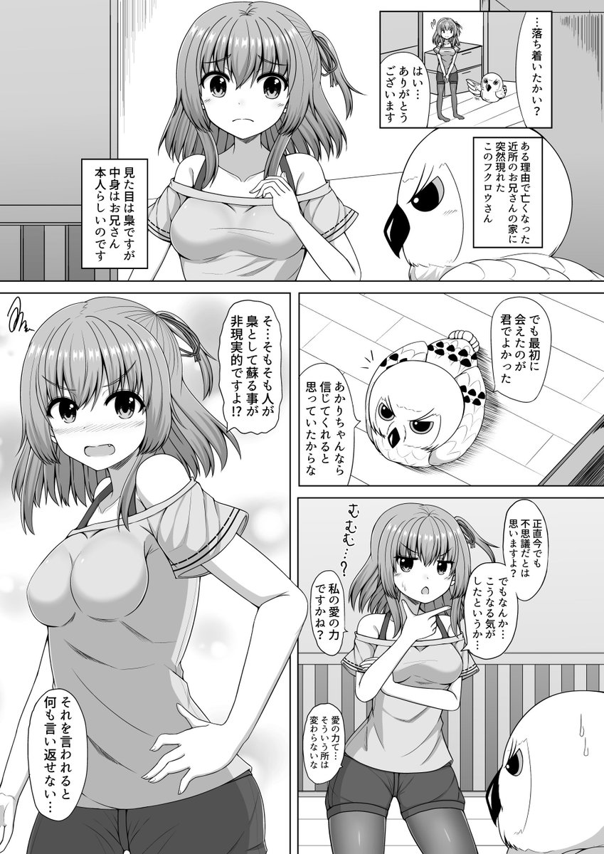 約束を守りたい女の子とフクロウになった男の漫画「新しい君」 