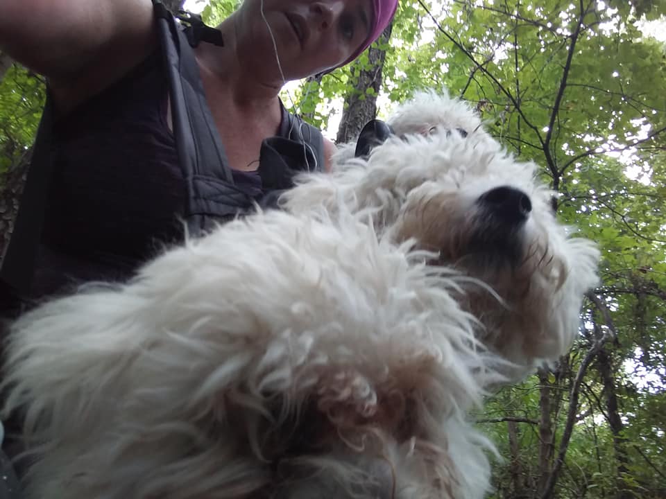 amberleaton's tweet photo. I swear, one of these times, I'm making the dogs carry me on one of our hikes. Also, if I ever decide to find a guy to spend time with, he's got to carry at least one of the dogs. That's very high on any list of qualities I have. https://t.co/QNjS0jSxvS