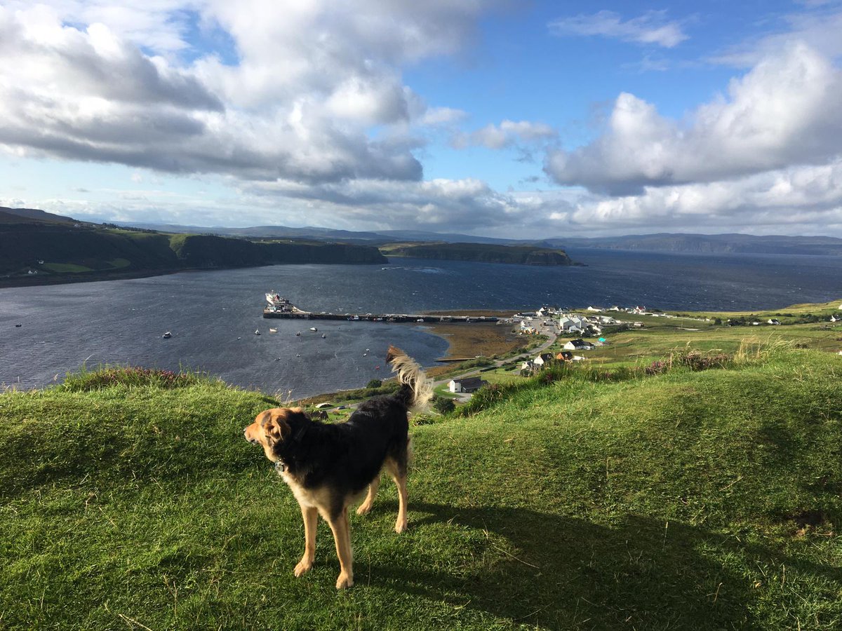 DogMungo's tweet photo. Back on #Skye https://t.co/wnbBMhPGDw