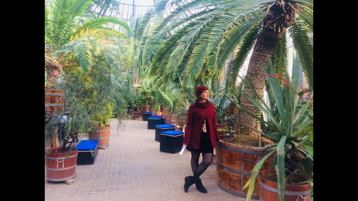 Dr. Senna Thornton-Barnett tweet media