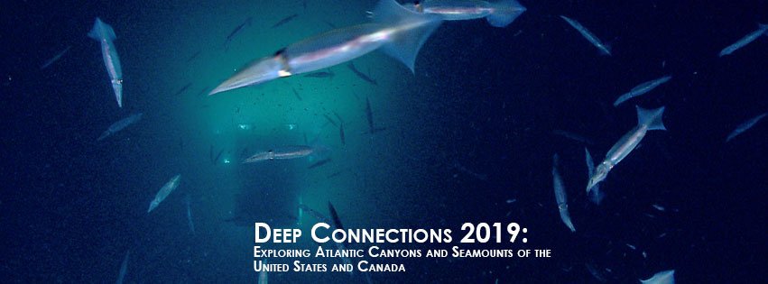 oceanexplorer's tweet photo. Daily #Okeanos dives, August 27–September 14, from ~8:30 am to 4:30 pm ET: https://t.co/sINZBMQgin

Join us for Deep Connections 2019: Exploring Atlantic Canyons and Seamounts of U.S. &amp; Canada, as we explore deep-sea habitats &amp; geological features off NE Atlantic coast. https://t.co/2Tjpj5GTqF