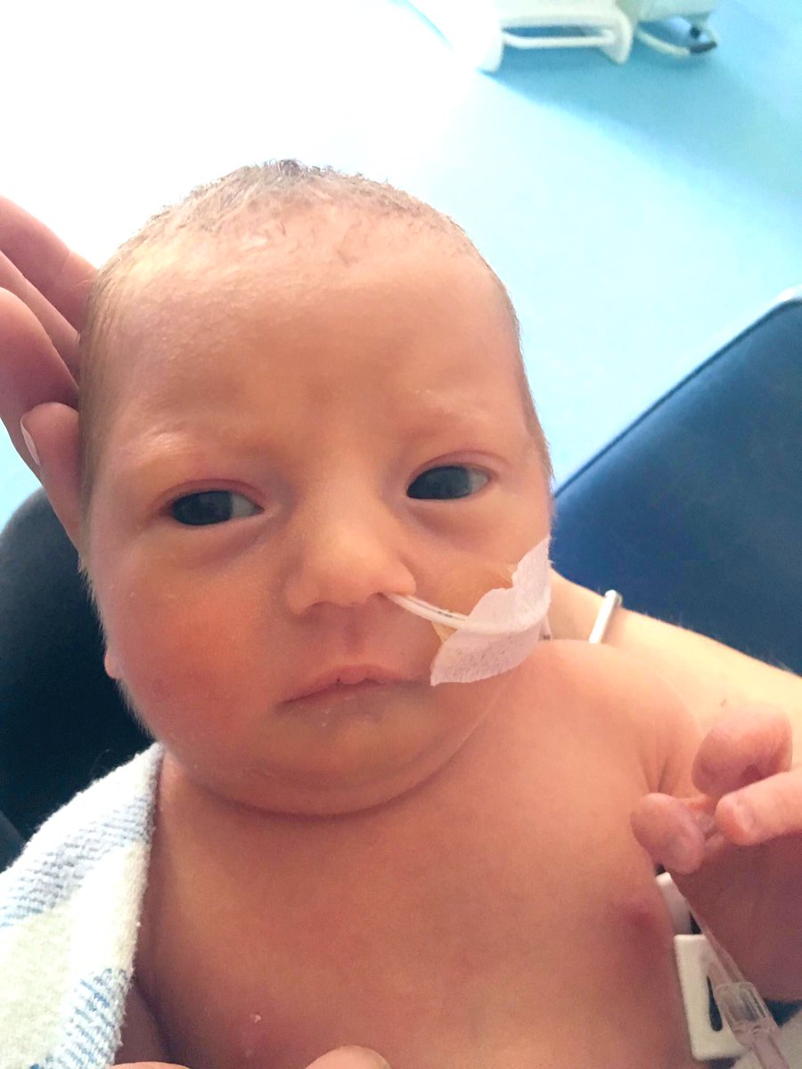 DanielPacker17's tweet image. Hello little mollie 😍