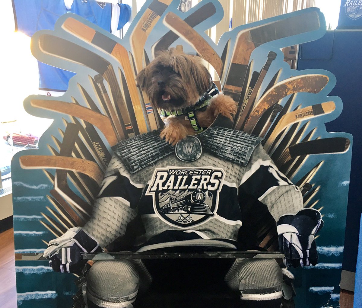 .<a href="/Trax_RailersHC/">Trax The Railyard Dog</a> had a 🐶 friend visit the office today! #NationalDogDay