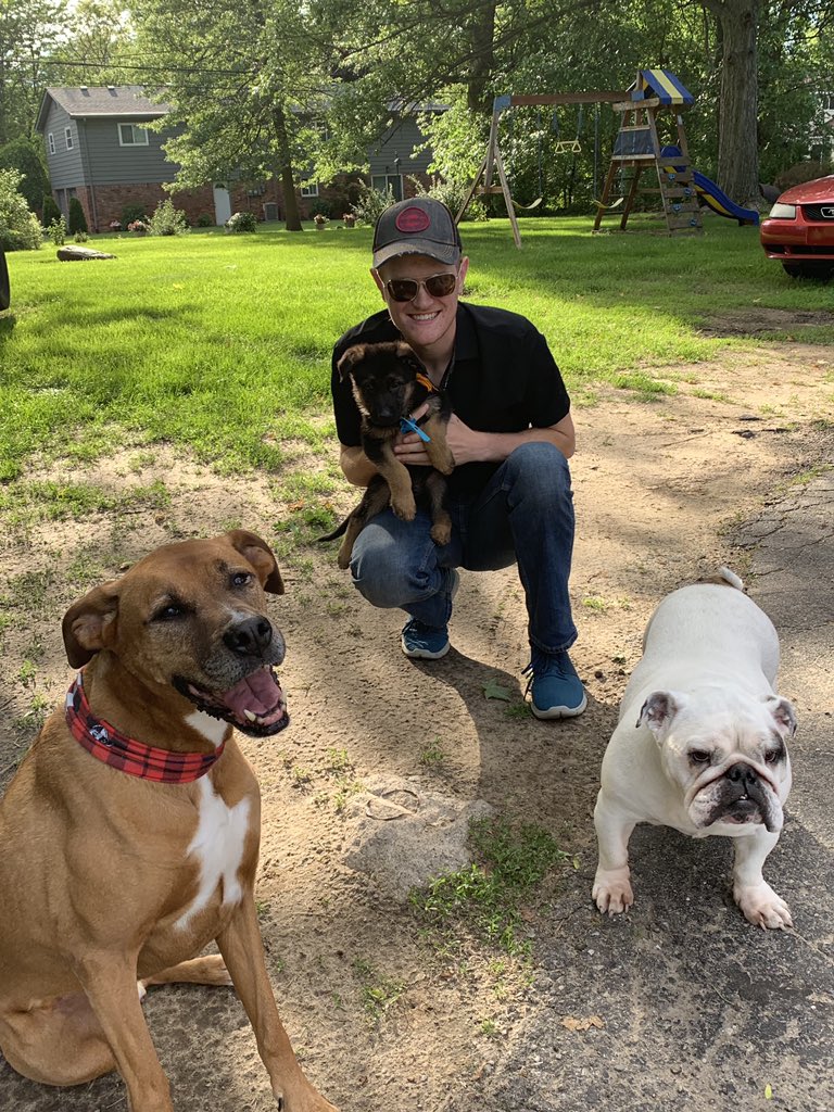 Wynnb15's tweet photo. Happy #InternationalDogDay https://t.co/7YDhMhHjpk
