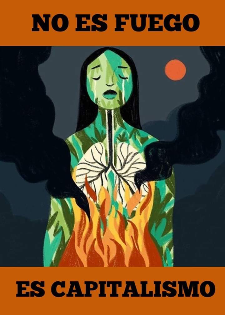 NOalTTIP's tweet photo. Durante décadas la UE ha impulsado la deforestación de la Amazonia a través de la importación masiva de materias primas y la participación de multinacionales europeas en su explotación. El siguiente paso: el tratado comercial con Mercosur [HILO] #NoEsFuegoEsCapitalismoGlobalizado https://t.co/ZxFtLkR4Ei