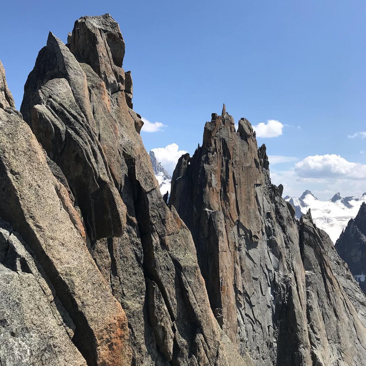 CAITorino's tweet photo. Un'estate in alta #montagna con gli istruttori della Scuola di Alpinismo G. Gervasutti del CAI Torino ➡️ https://t.co/rzWHjZXoU1 #caitorino #cai #torino #arrampicata #alpi #clubalpinoitaliano #scuolagervasutti #gerva https://t.co/DbfXfCGOcv