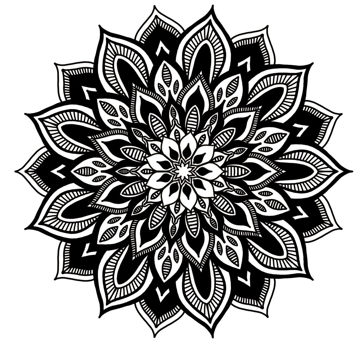stephplotts's tweet photo. Happy Monday Twitter fam ✨
.
#mandala
#mandaladrawing
#mandalaart
#mandalaartwork
#mandalaartist
#blackandwhiteart
#artistsof614
#614artists
#artistsofcolumbus
#365daysofart  #365daysofstephplottsart
#abstractartist
#localartist
#emergingartist
#stephplottsart
#thisisme https://t.co/SAVqg89wcp