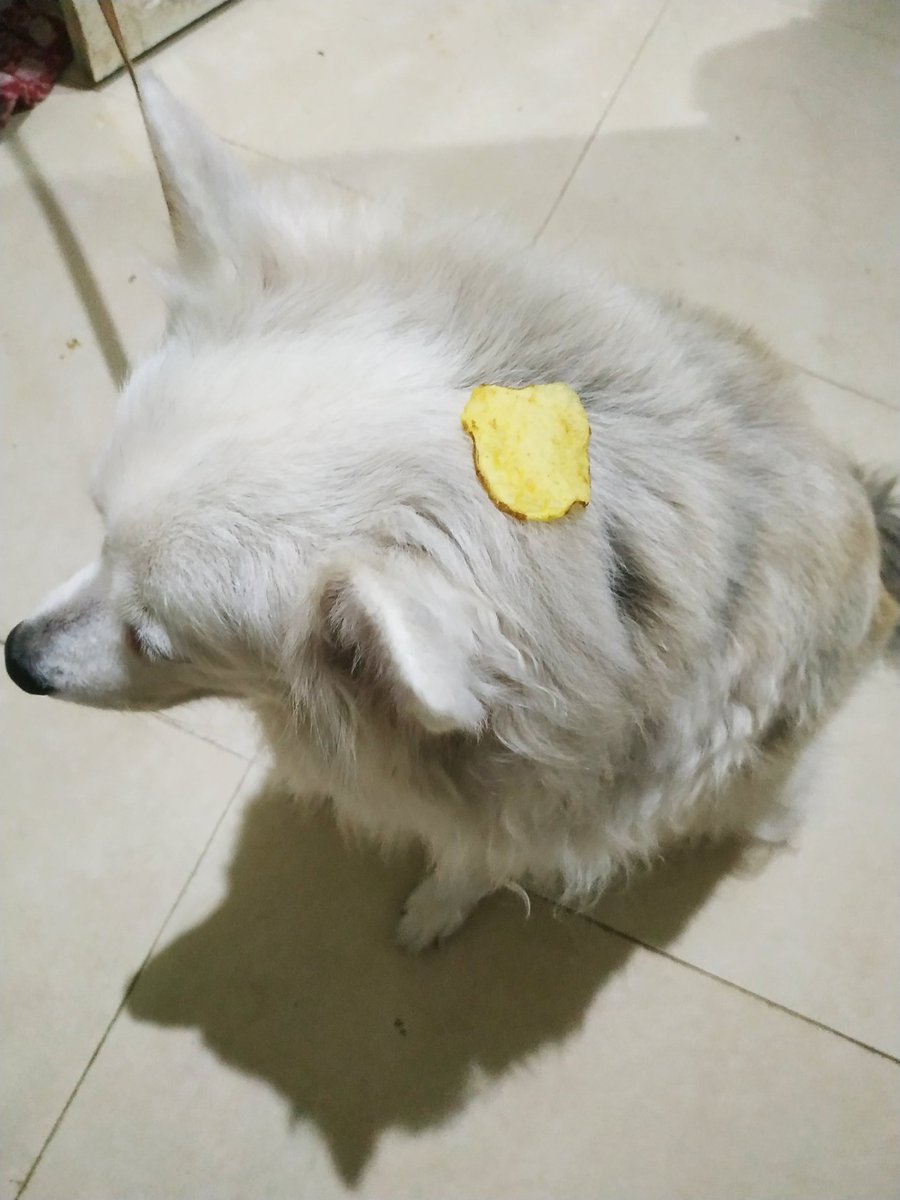 SHE ALSO LETS ME PUT CHIPS AND WAFERS ON HER HEAD AND I LOVE HER