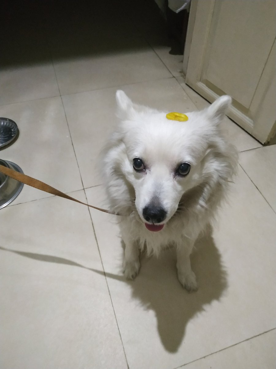 SHE ALSO LETS ME PUT CHIPS AND WAFERS ON HER HEAD AND I LOVE HER